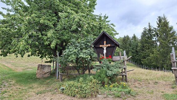Zdjęcie z args wzdłuż trasy