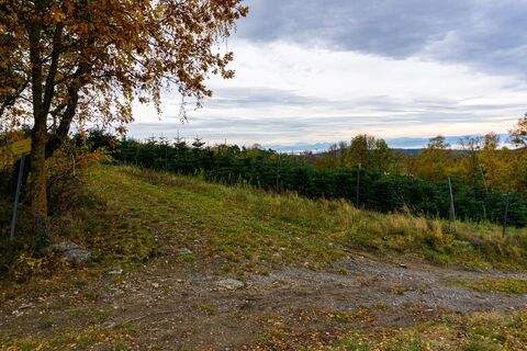 Blick auf den Schneeberg und ins Alpenvorland