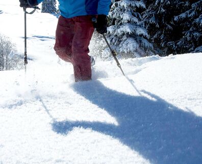 Schneeschuhwanderer bei Neuschnee