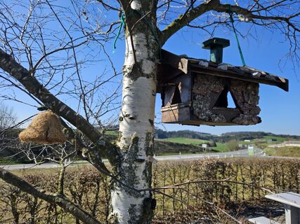 Fotografija s spletne strani ElkeA na poti