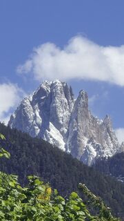 Foto de Florin Telser a lo largo del recorrido