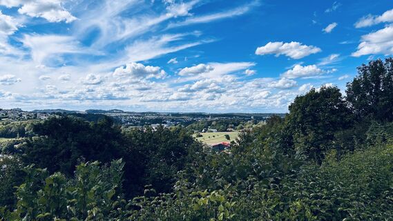 Foto von Blue Chili entlang der Tour
