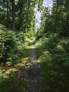 Foto de Björn Heun a lo largo del recorrido