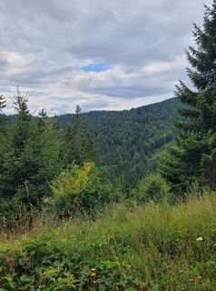 Zdjęcie z Liddeldi wzdłuż trasy