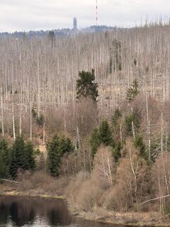 Photo de Christian H. le long du parcours