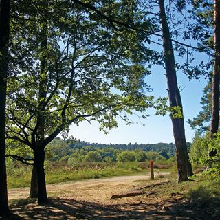 Wahner Heide