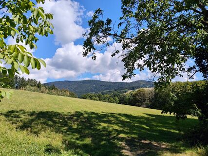 Photo de Bergkater le long du parcours
