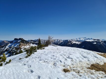 Photo de Moro le long du parcours
