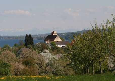 Aussicht vom Wasserturm Horn
