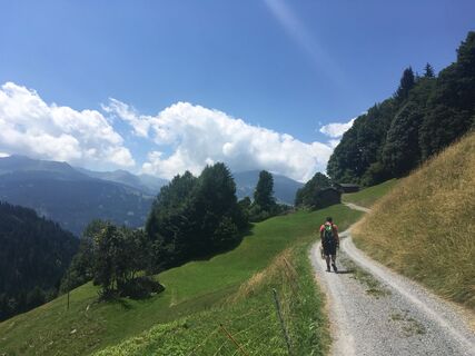 Weg entlag schöner Wiesen