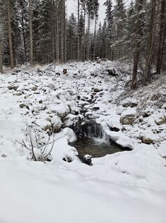Zdjęcie z Timon Bertignoll wzdłuż trasy