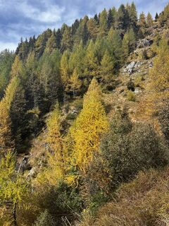 Zdjęcie z Marisa scafetta wzdłuż trasy