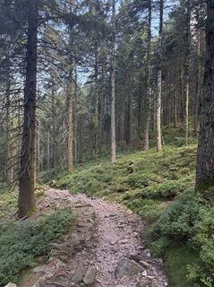 Foto von Felix Rietz entlang der Tour