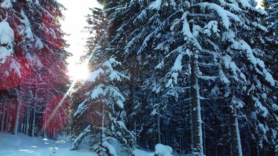 teufelstein - eine sagenhafte schneeschuhwanderung_img_21751200