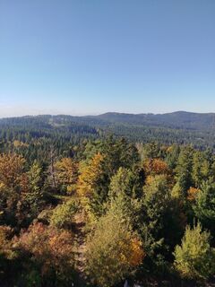 Foto fra Albert Seitz undervejs på turen