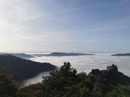 Foto von Michael Spranger entlang der Tour