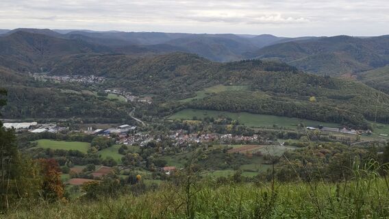 Foto von Katja Senkel entlang der Tour