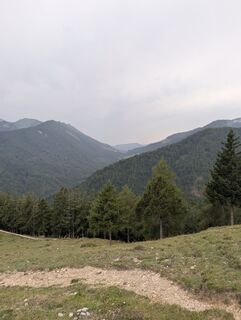 Foto von Stubi entlang der Tour