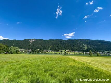 Multimedia Audioguide von Locandy am Weissensee Feuchtwiesenwanderung