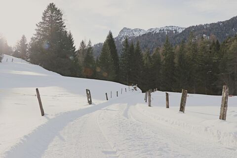 Entspannter Winterwandweg abseits des Rummels