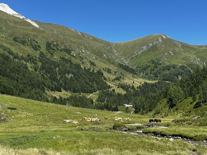 Foto von Norbert entlang der Tour