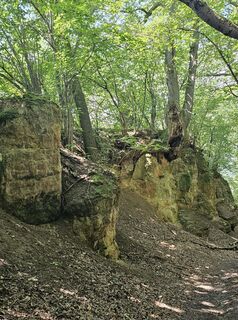 Fotografie de la Angelika Gerung de-a lungul turului