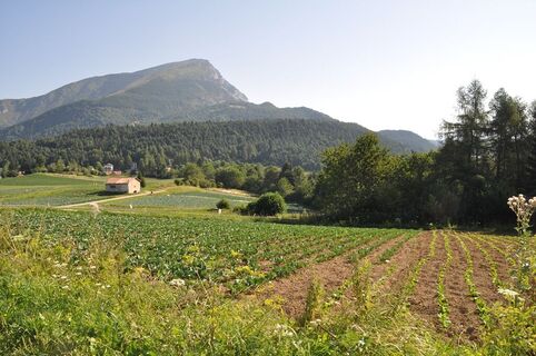Berg Creino - Val di Gresta