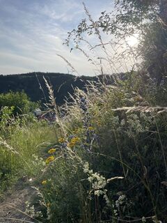 Foto de Csenger Reichardt a lo largo del recorrido
