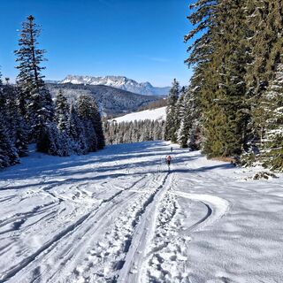 Der Aufstieg orientiert sich an der Kurvenlift-Piste.