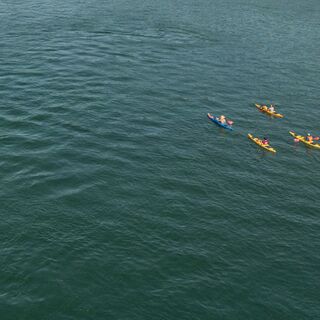 Vier Kanufahrende auf dem Rhein