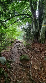 Foto de Nicoletta Adamo76 a lo largo del recorrido
