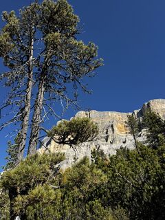 Fotografija s spletne strani DolomitiMike na poti