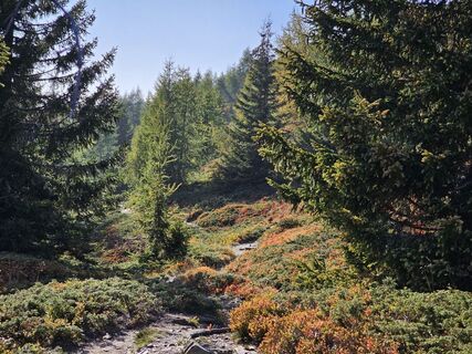 Foto von Christian Hutter 1 entlang der Tour
