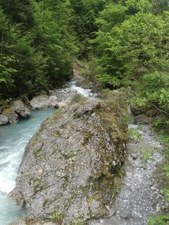 Fotografija s spletne strani Waldläufer na poti