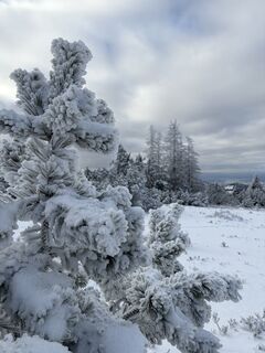 Zdjęcie z Dominik wzdłuż trasy
