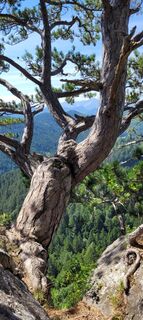 Foto da Nicky lungo il tour