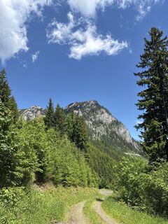 Foto von Mandy Friedrich entlang der Tour