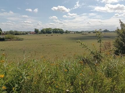Photo de Jeremey Dugardein le long du parcours