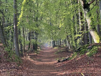 Fotografie z Martin Schubert na trase