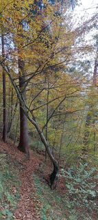 Fotografija s spletne strani Hans Klamer na poti