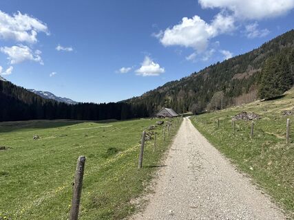Foto von Similaun entlang der Tour