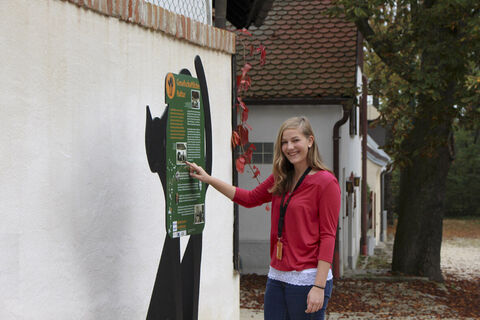 Kellerkatzenweg Hollabrunn