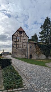 Foto von hochlandfamilie entlang der Tour