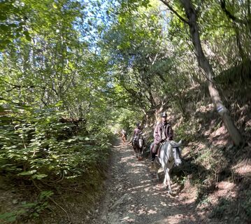 Foto de Radostics a lo largo del recorrido