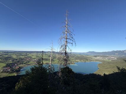 Fotografia z AgathaJoy na trase
