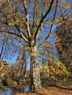 Foto de Mike Heinßmann a lo largo del recorrido