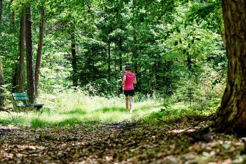 Laufen durch die Wälder Bad Waltersdorfs
