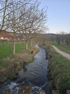 Photo de Michel Kennel le long du parcours