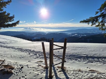 Foto de Heinz Herbst a lo largo del recorrido