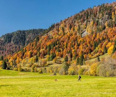 Wanderweg in Menzenschwand